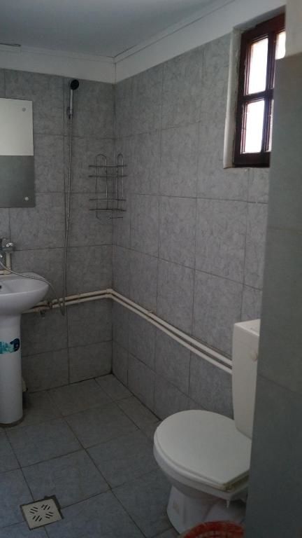 Гостевой дом Casa Dexter Вама-Веке-41